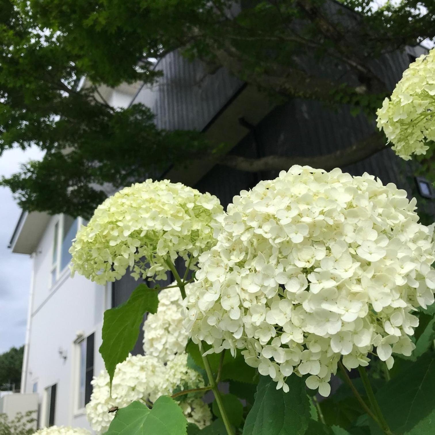 Sweet Villa Takasama - Vacation Stay 11775 ฟูจิโยชิดะ ภายนอก รูปภาพ