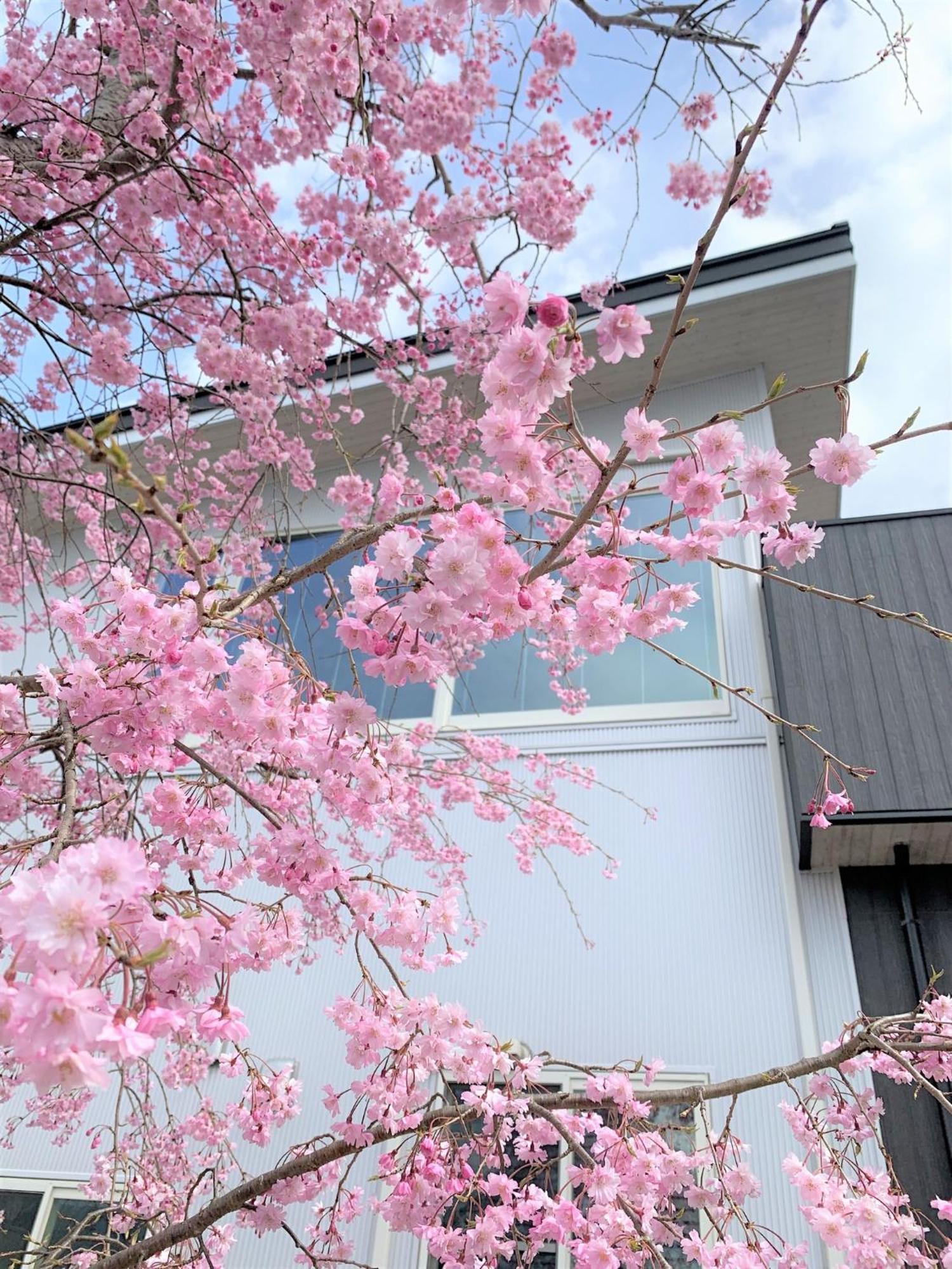 Sweet Villa Takasama - Vacation Stay 11775 ฟูจิโยชิดะ ภายนอก รูปภาพ