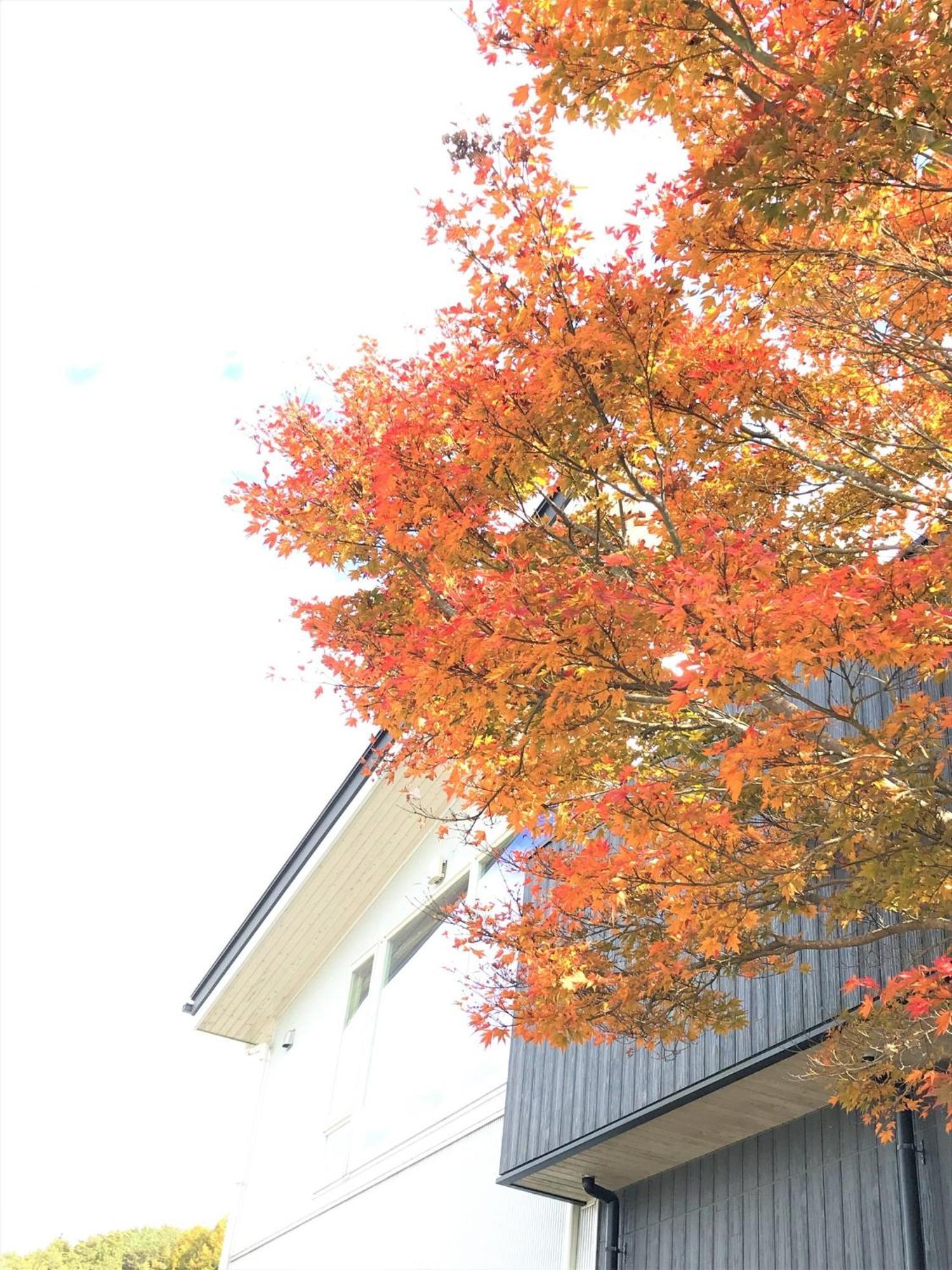 Sweet Villa Takasama - Vacation Stay 11775 ฟูจิโยชิดะ ภายนอก รูปภาพ